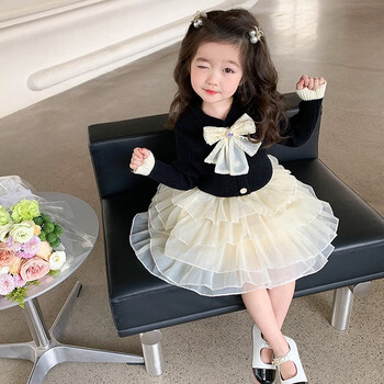 布童晨熙(butongchenxi)1-5女宝宝套裙春秋装韩版3女童毛衣裙子两件套