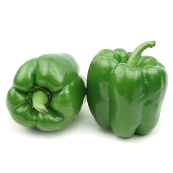 蔬菜灯笼椒 青圆椒现摘新鲜绿色青椒甜椒彩椒1500g 1500g 1500g