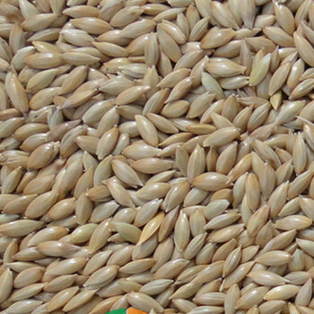 oimg虎皮牡丹玄风鹦鹉鸟食饲料鹦鹉鸟粮带壳黄谷小米黄雀食加纳利子3