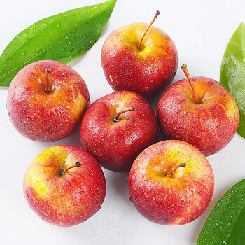 东北龙丰果 大秋果 沙果海棠果 新鲜水果 2.5kg