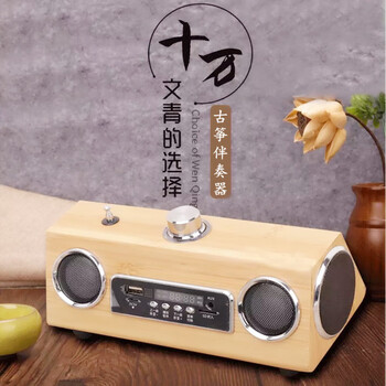 sevinia新编d调古筝流行伴奏器示范送配套曲谱初学者零基础新手入门