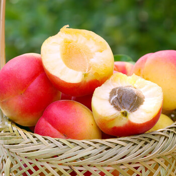 陕西胭脂杏贵妃红杏新鲜应当季水果孕妇酸甜蜜杏太平肉杏 2斤