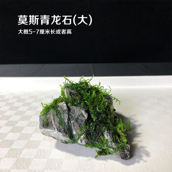莫斯青龙石大号((5-7厘米)