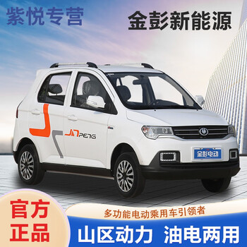 金彭d90新能源电动四轮代步轿车油电两用全封闭成人锂电汽车 配置定制
