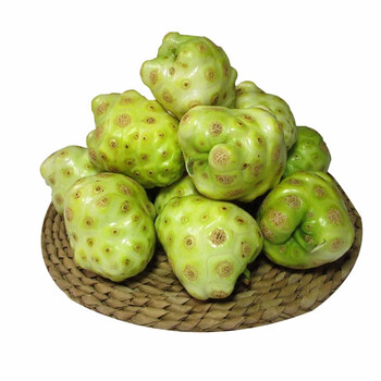 风车车农场诺丽果 海南西沙诺丽果 新鲜诺尼果 做酵素 20斤【图片 价