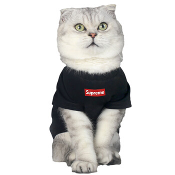 网红猫咪防掉毛衣服英短猫专用春秋薄款夏季宠物衣服supreme黑色t恤加