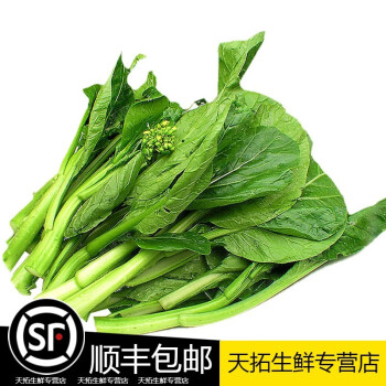 苏北农家霜冻上海青大青菜心菜苔蔬菜新鲜苏州青太湖黑油菜菜芯花3000