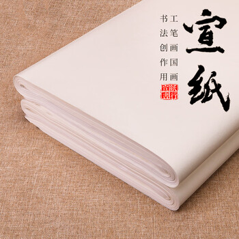 书行宣纸书法专用纸毛笔练字生宣纸半生熟国画作品纸工笔画初学者生