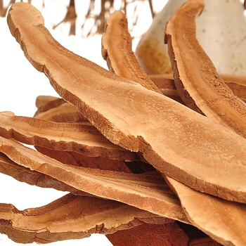 灵芝片长白山灵芝灵芝切片整支泡水泡酒药材 赤灵芝片250g