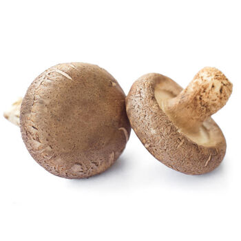 【京鲜达】新鲜香菇野生蘑菇冬菇火锅烧烤 500克