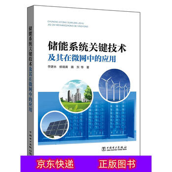 琨艺图书只售正版储能系统关键技术及其在微网中的应用电工电气类书籍