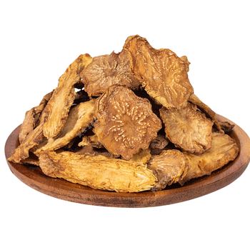 初湛 肉苁蓉鲜干片内蒙古阿拉善大芸整根切片泡酒药材泡茶料非野生金