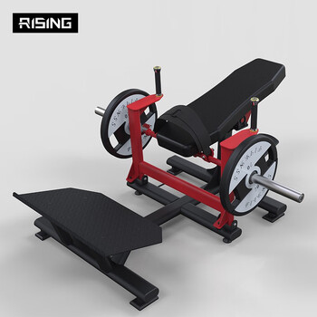 rising锐思健身房商用健身器材挂片系列酒店健身房企事业单位活动室臀