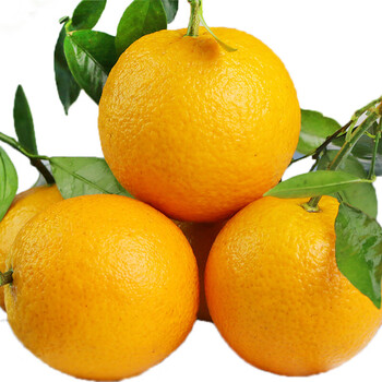 采缇(caiti)夏橙广西桂林10斤当季新鲜水果甜冰糖脐橙子整箱大果现摘