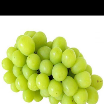 晴王云南建水玫瑰葡萄整串新鲜水果提子香印青提蜜甜绿色 2斤(精品装)