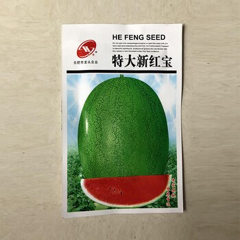 春季西瓜种子季8424西瓜种子孑新品种西瓜种籽农家田园大棚基地四 特