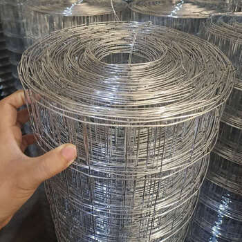 精选整卷铁丝网钢丝网防裂网抹墙网外墙保温电焊网防鼠防鸟养殖网栅栏