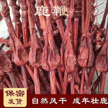 吉林鹿鞭干整根泡酒料人参配方中药材男性男用正宗鹿茸片鹿鞭膏内廷上