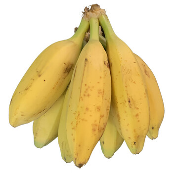 轻恋广东巴蕉青大焦5斤plantain新鲜水果自然熟香蕉香焦批发年货2500g