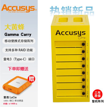 ACCUSYS 世仰Gamma Carry搭配酷狼硬盘 雷电3×2 8盘位磁盘阵列柜存储系统视 大黄蜂 雷电3数据线