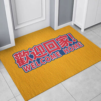 地垫家用门口玄关个性刮泥地垫免洗进门脚垫可水洗欢迎回家宽5080厘米