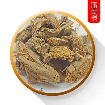 蒲黄根  生蒲黄 生蒲蒻 蒲儿根 蒲笋 东方香蒲根  蒲黄根500g