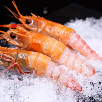 栗斓优海鳌虾日料刺身海捕鲜活船冻超大鳌虾生吃虾即食甜虾海鲜水产