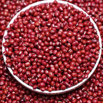 红小豆农家自产红豆薏米粥原料五谷杂粮半斤5斤装1斤装