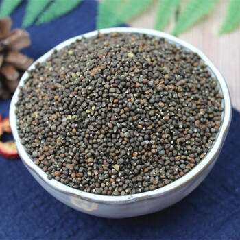 生苏子500g 生苏种子苏子籽苏麻子 榨油料烧烤料 月饼馅料 五斤2500克