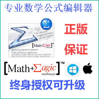 Mathmagic专业数学公式编辑软件功能比mathtype更多功能个人版终身授权 京东jd Com