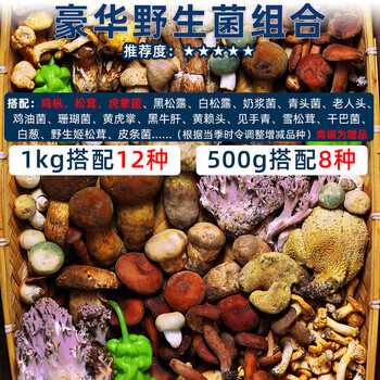 禾澹高端新鲜蘑菇菌类大全杂菌菇松茸鸡枞食用菌菇组合云南半野生菌子