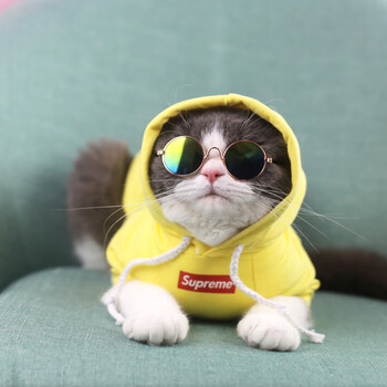 网红猫咪防掉毛衣服英短猫专用春秋薄款夏季宠物衣服 supreme-黄色带