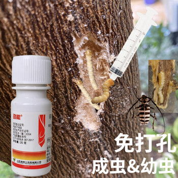 果树蛀虫清蛀干害虫杀虫剂桔橘子树板栗枇杷樱桃李子树木钻心虫药20ml