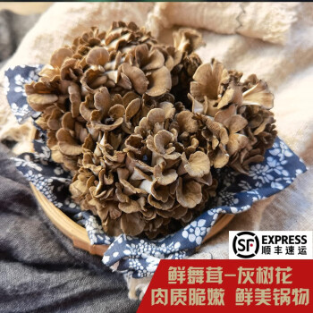 食艺鲜（SHIYIXIAN）云南新鲜舞茸菇 新鲜灰树花菌 野生菌0.5-1kg 火锅食材打边炉菌菇 500克