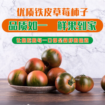 草莓铁皮西红柿新鲜自然熟生吃番茄东北碱地柿子 5斤