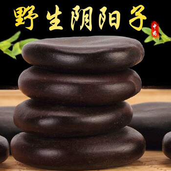 北京同仁堂正宗阴阳子500g特级中药材龙凤子 木腰子 天然肾树宝 可搭