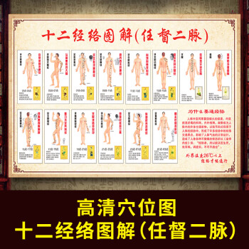 十二經絡圖解-新 70x100cm)=40寸小尺寸不 相紙【覆膜