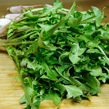 东北山野菜婆婆丁1斤 新鲜野山菜蒲公英 250g