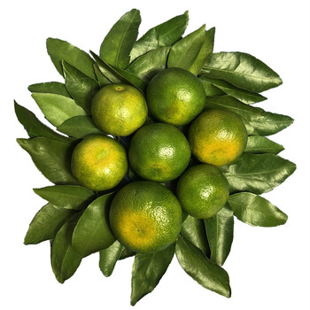 广西桂林清香蜜橘桔子绿色青皮新鲜水果丑橘10斤甜蜜中果5斤