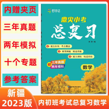 鼎尖小考总复习语文专题考点题型训练新疆内初班考试复习真题模拟小学