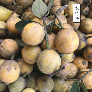 【现货速发】新鲜木竹果 2020年广西新鲜水果木竹果竹桔竹橘牙黄果酸筒子岭南木竹子果 2斤【图片 价格 品牌 报价】-京东