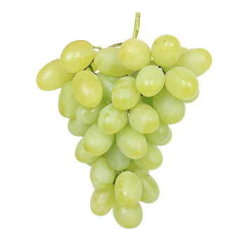 怀来白马奶葡萄河北张家口沙城特产青提新鲜牛奶葡萄3斤白葡萄
