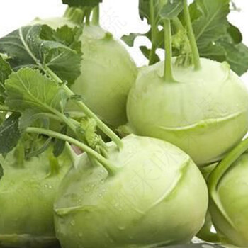 云南新鲜苤蓝 蔬菜苤茄莲球疙瘩 甘蓝菜头 芥菜大头 新鲜采摘 5斤