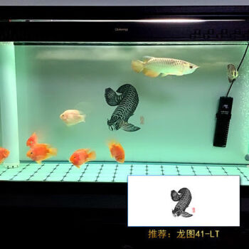 红龙鱼缸背景画3高清立体贴背景图水族箱壁纸5造景装饰金龙龙图免胶玻璃静电膜 更换无痕180x70高 图片价格品牌报价 京东