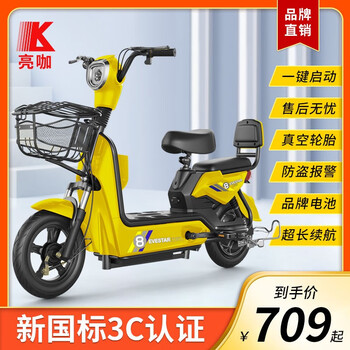 亮咖电动车新国标电动自行车男女式双人款成人电瓶车48v长续航 活力黄