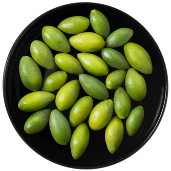 沙窝曙光橄榄新鲜现摘青橄榄青果500g生橄榄果特色水果橄榄鲜果2斤装