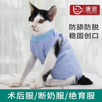 唐宠猫咪手术服母猫绝育服断奶服术后服防舔夏弹性宠物猫衣服猫术后服