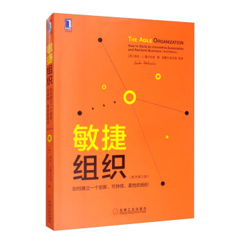 敏捷组织：如何建立一个创新、可持续、柔性的组织（原书第2版）  [The Agile Organization： How to Build an Innovative， Sustainable and Resilient Business]