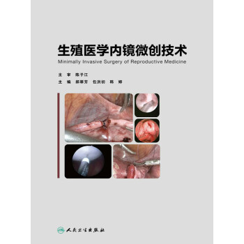 生殖医学内镜微创技术pdf/doc/txt格式电子书下载