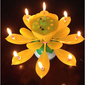腾圣 生日蜡烛 生日快乐儿童生日创意莲花旋转开花唱歌荷花蜡烛 黄色